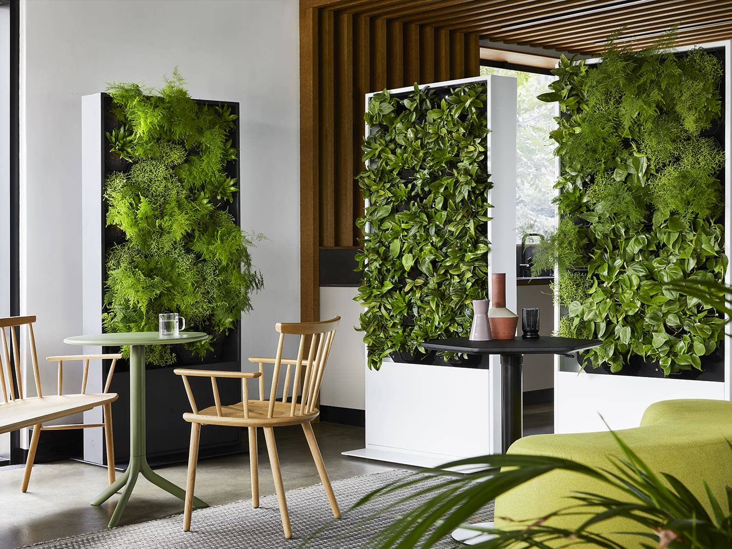 An office canteen featuring vertical planted panels. Photo by Elsa Young. An office canteen featuring vertical planted panels. Photo by Elsa Young.