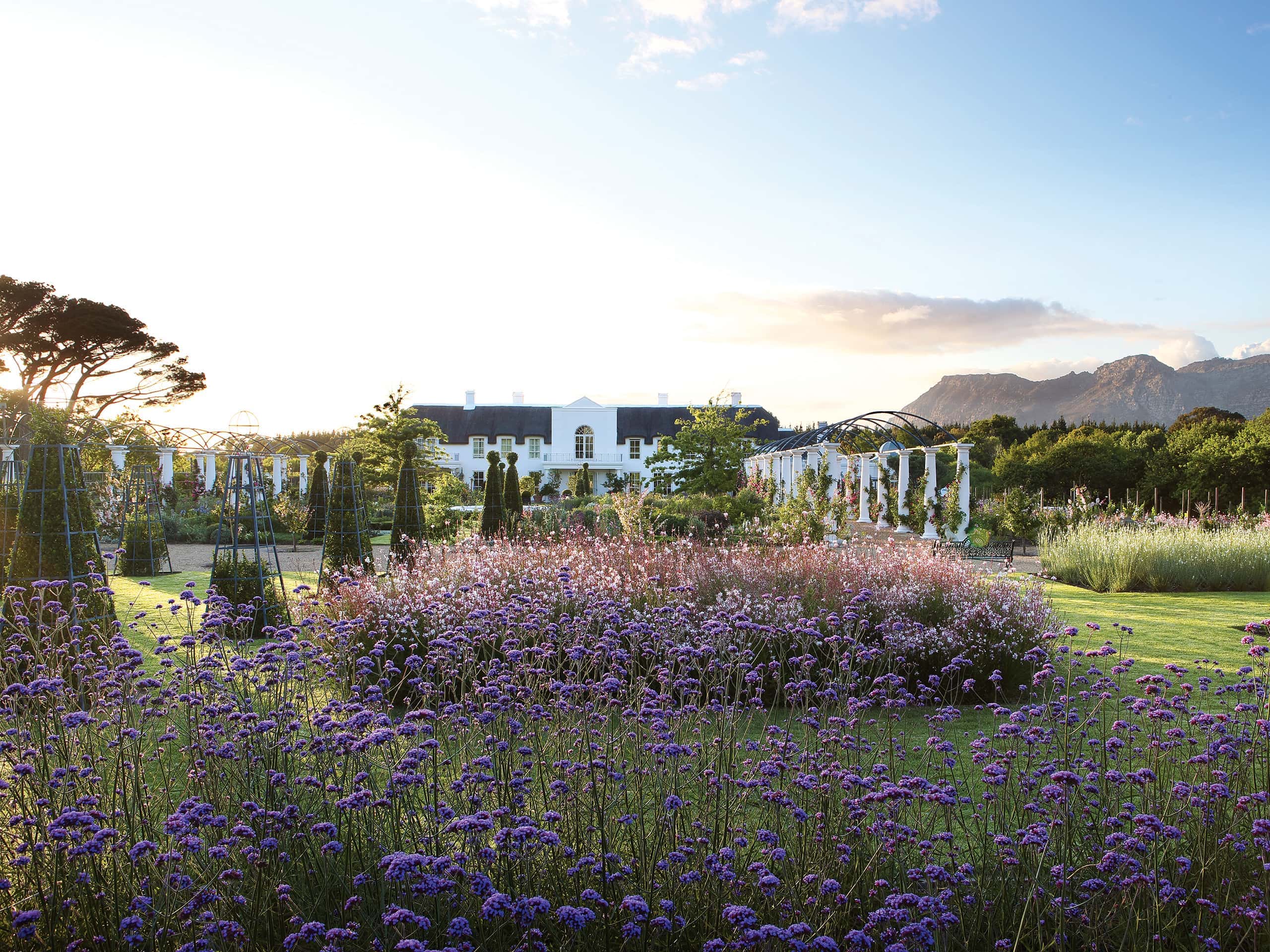 Rambling garden and Cape Dutch-style house in Cape Town. Photograph by Elsa Young.
